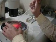 结扎的人可以做试管吗？只要万事俱备，东风不可不来