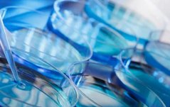 41岁卵巢早衰试管真的能成功吗？分享高龄试管的风险防范和成功经验