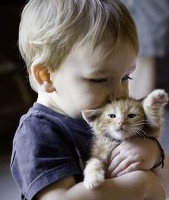 2026年染色体异常去淄博做试管的全过程是怎么做的？只需60秒全搞懂